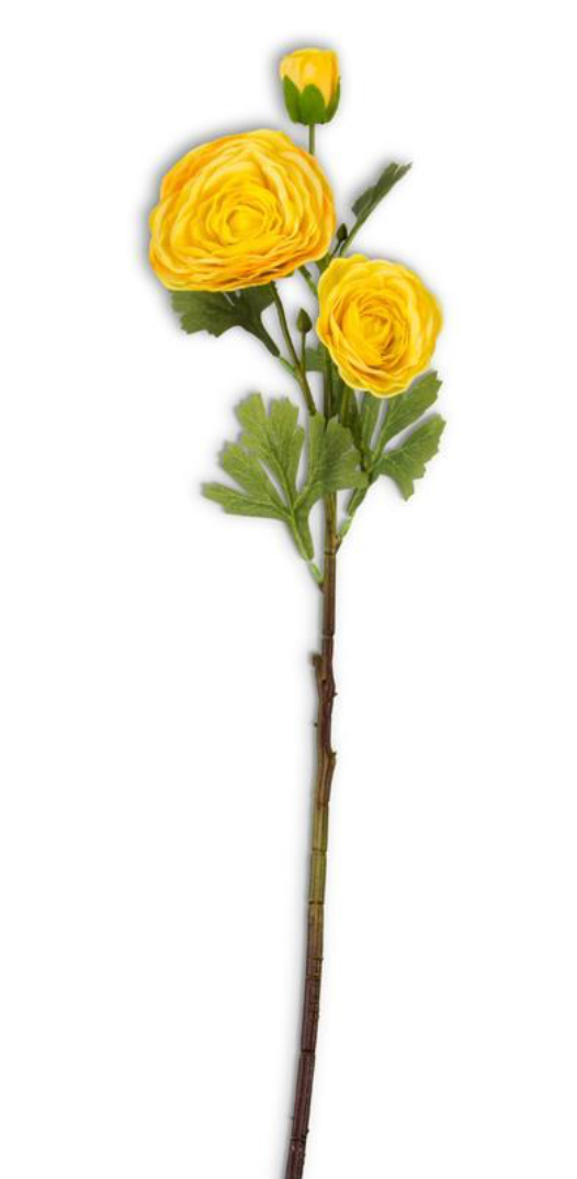 25in Real Touch Yellow Triple Ranunculus