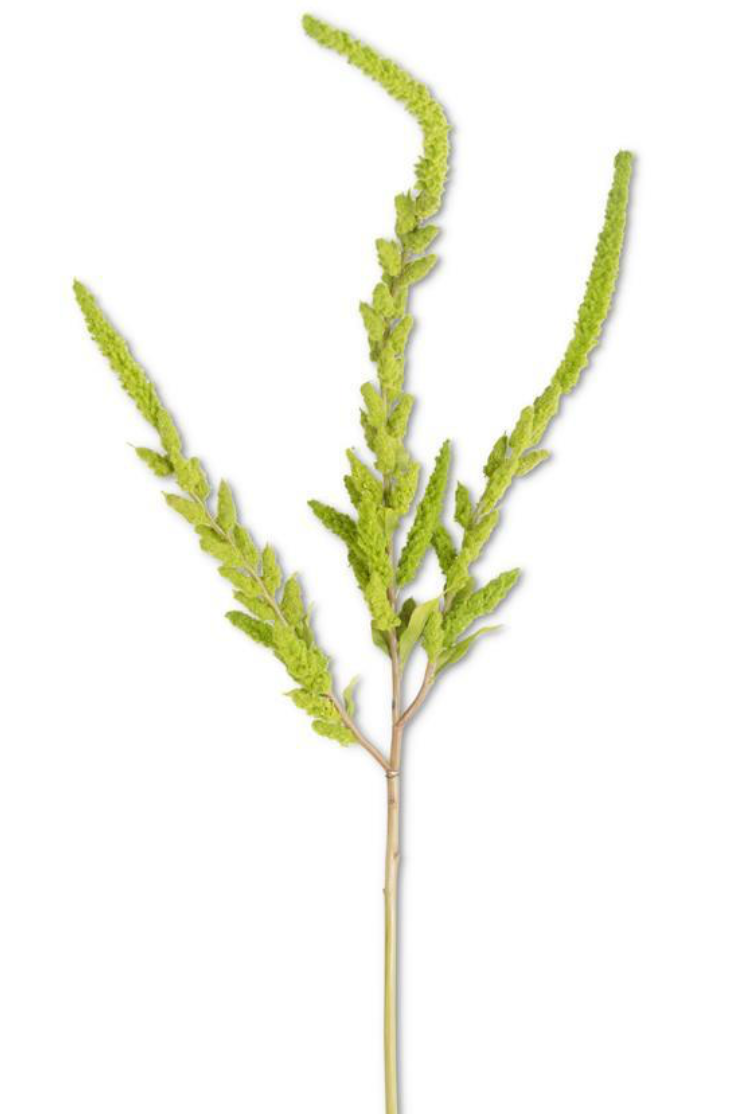37in Green Amaranthus Pigweed