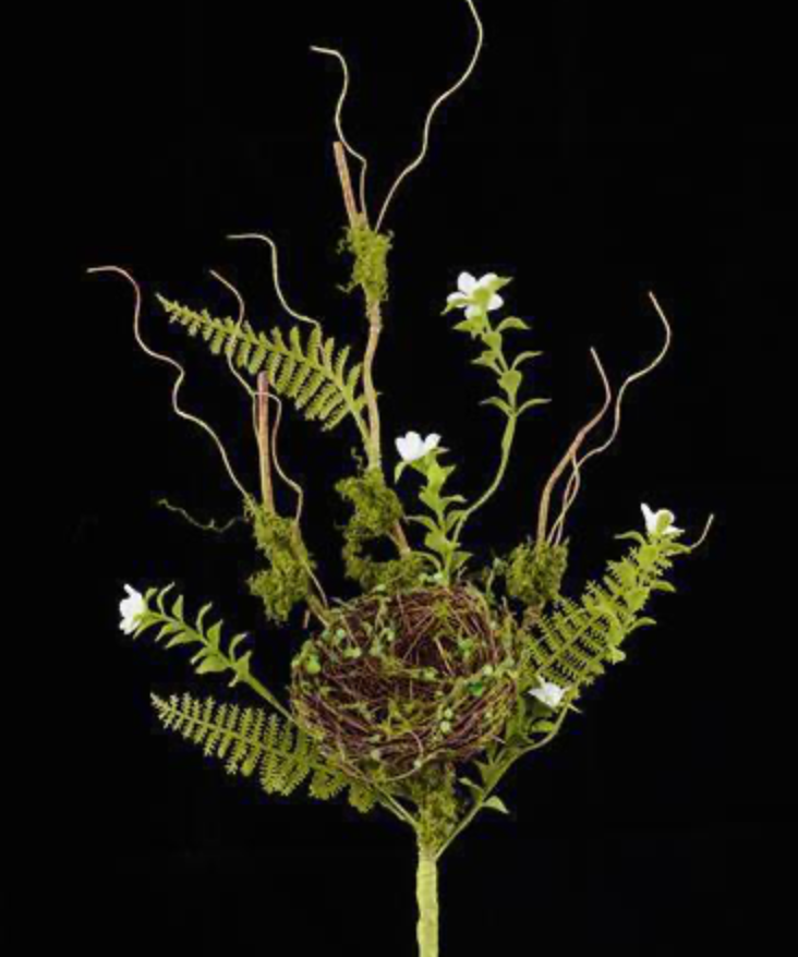 24in Angel Vine Bird Nest & Fern
