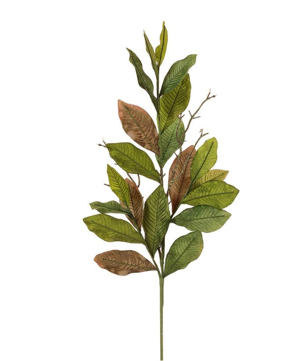 42in Vintage Magnolia Leaf Spray