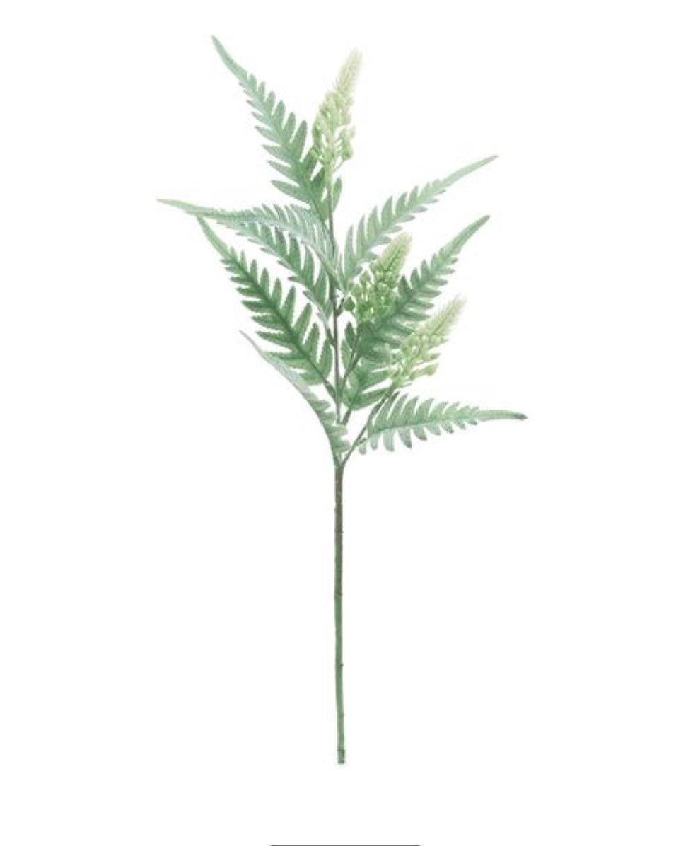23in Long Beech Fern GREEN