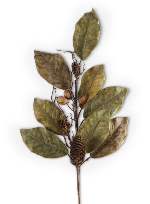32in Magnolia Pinecone Nut Spray
