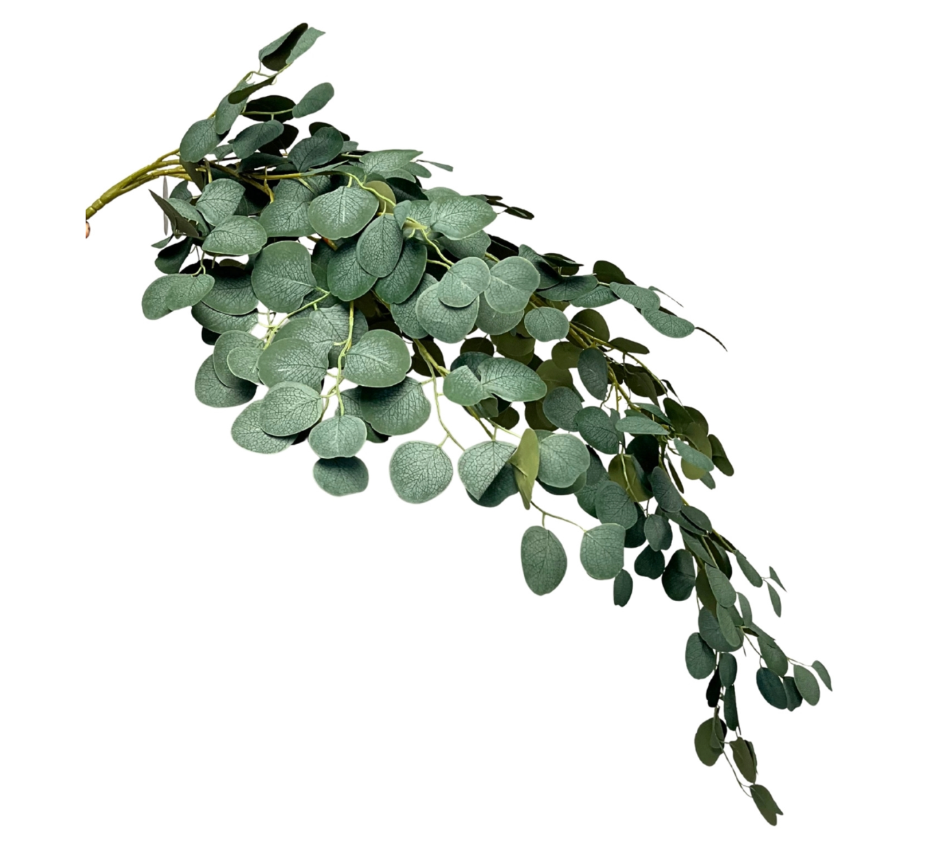 52in Hanging Silver Dollar Eucalyptus Vine - Premium Greenery for Wreaths, Arrangements and Home Decor