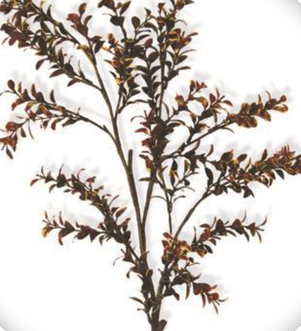 24in Burgundy Boxwood - Premium Greenery for Wreaths, Arrangements and Home Decor
