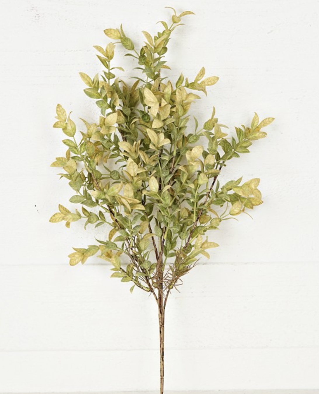 25in Two-Tone Green Mini English Rose Leaf - Premium Greenery for Wreaths, Arrangements and Home Decor Impressive