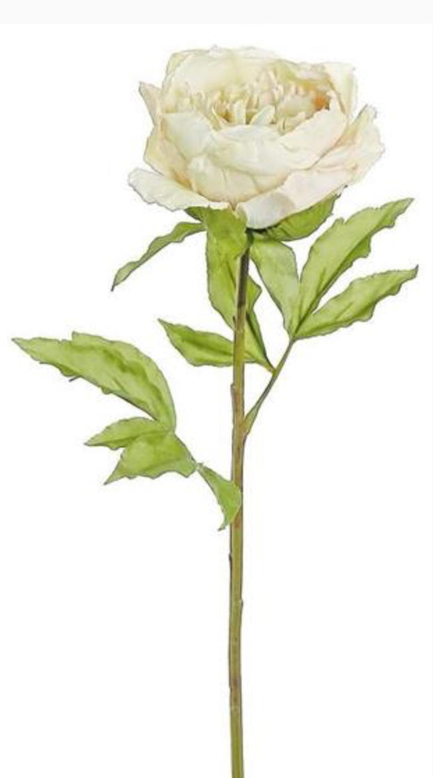 26in Vintage Peony VANILLA/PINK