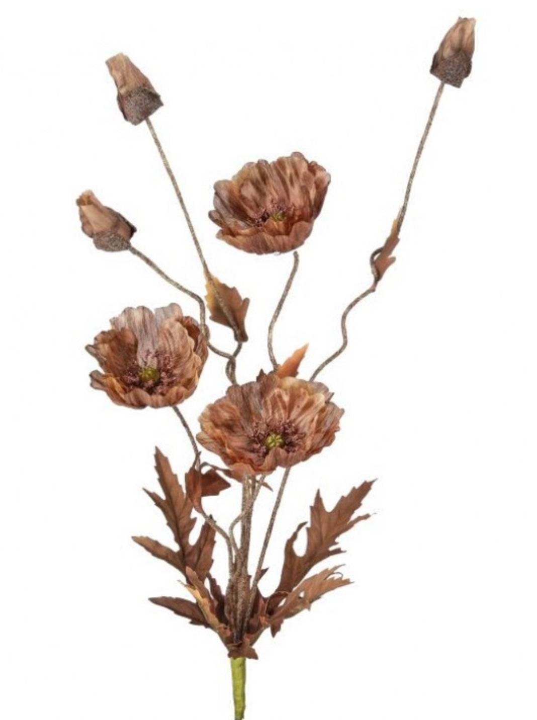 22in Autumn Poppy Spray BROWN