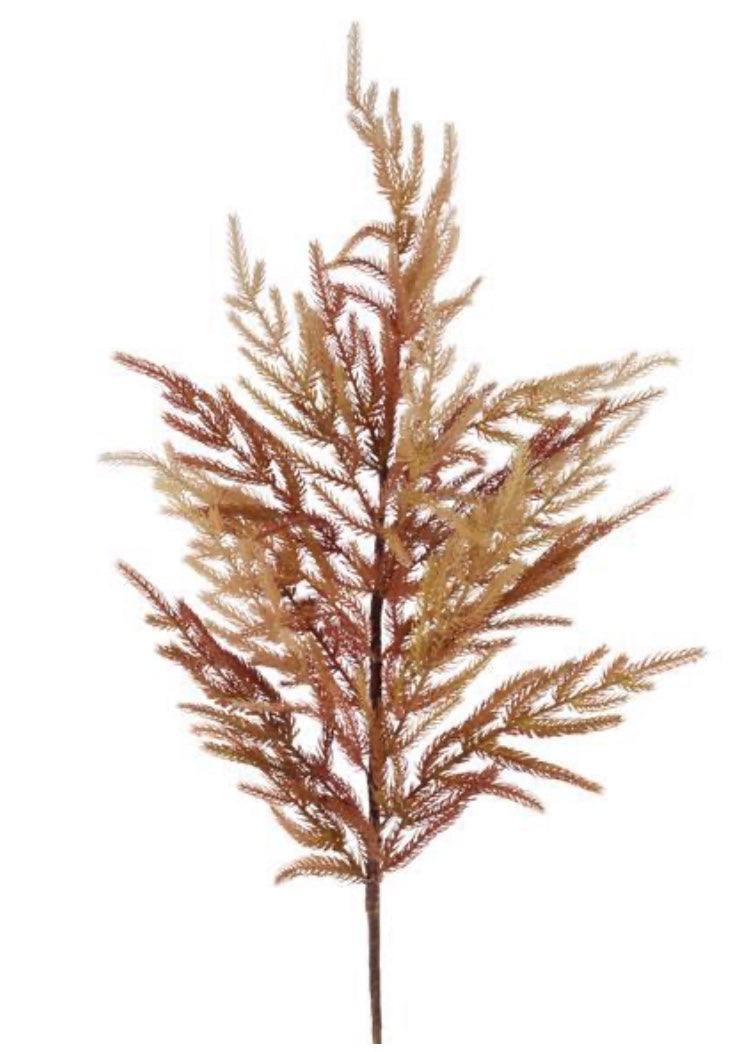 37in AUTUMN RUST Norfolk Pine