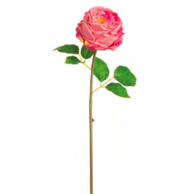 20in Cabbage Rose TT ROSE PINK