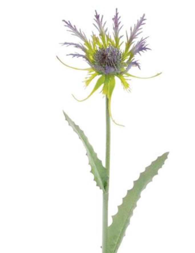 19in Purple Thistle