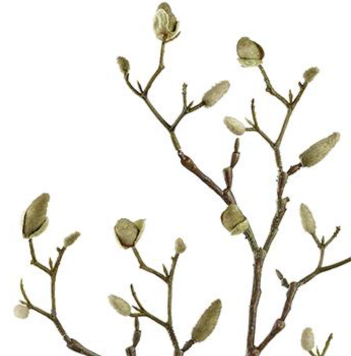 33in Green/Brown Magnolia Bud Spray