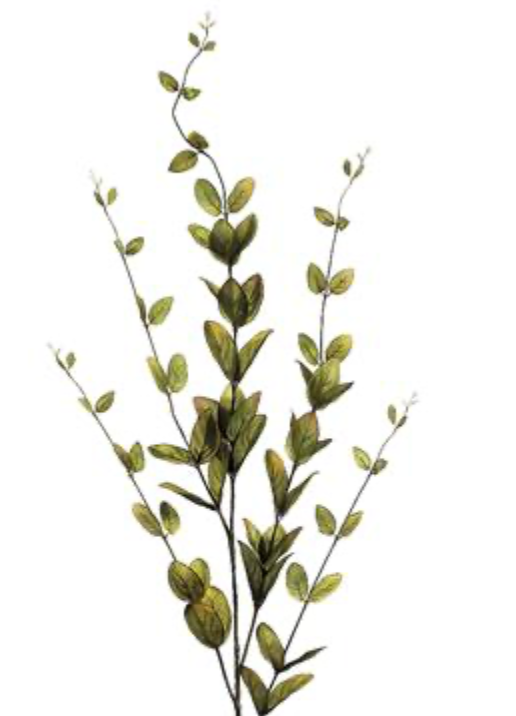 46in Dark Green Lonicera Leaf x5 xyz