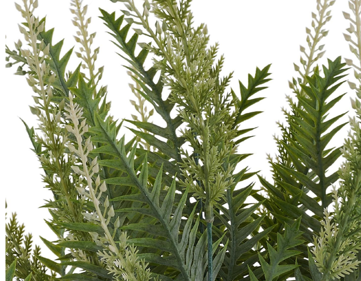 23in Multi Fern x18 Dusted TT Green