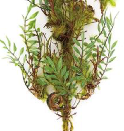 29in Fern/Moss Bird Nest Spray
