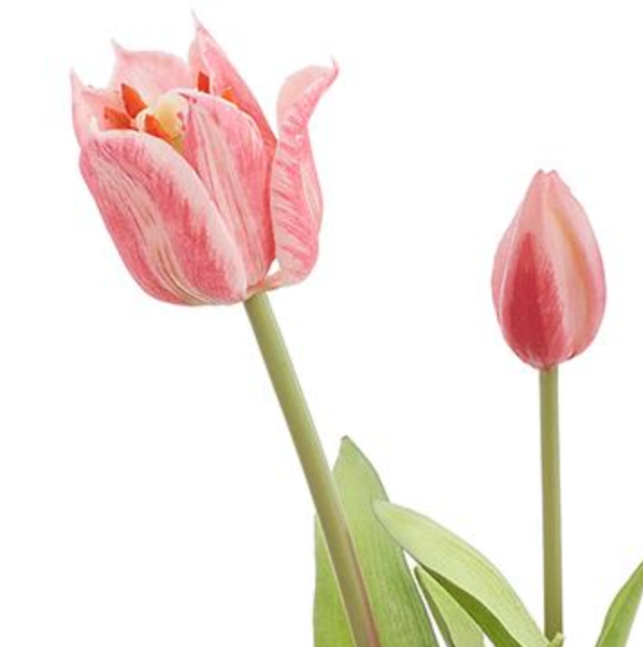 19in Pink Real Touch Parrot Tulip Bouquet