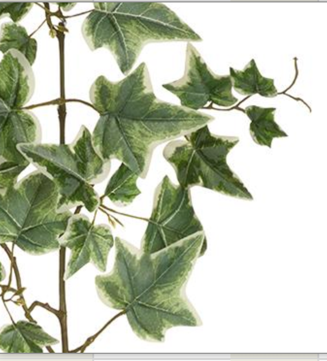28in Green/Cream Ivy Spray