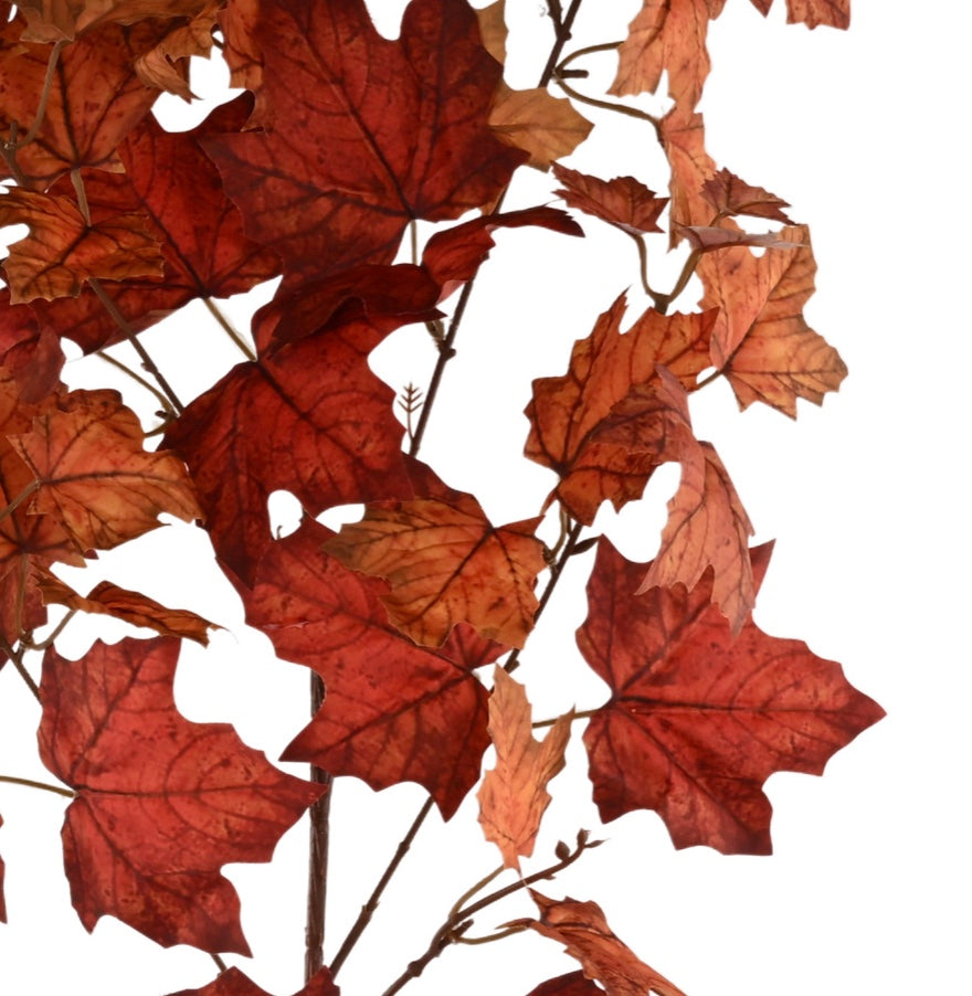 36in Fabric Maple Leaf Spray x5 Craig Bachman