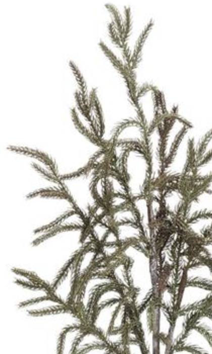 35in Green Pine - Premium Greenery for Wreaths, Arrangements and Home Decor