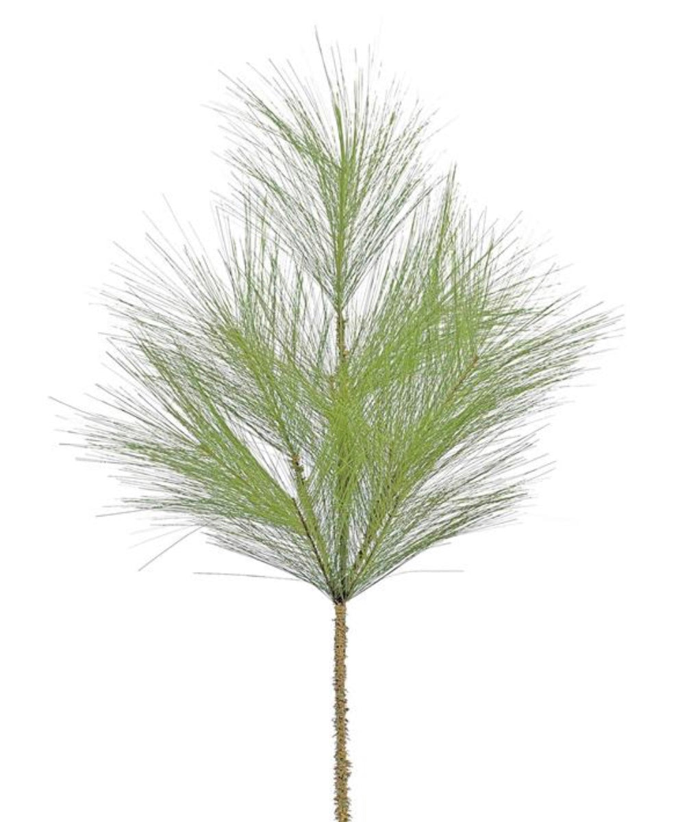 32in Full Long Needle Pine
