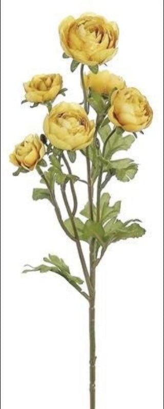 27in Ranunculus Cluster x6 GOLD