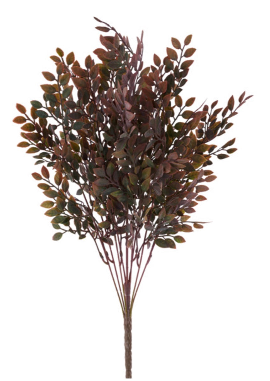 23in MAUVE/BURG Ruscus x10 Craig Bachman