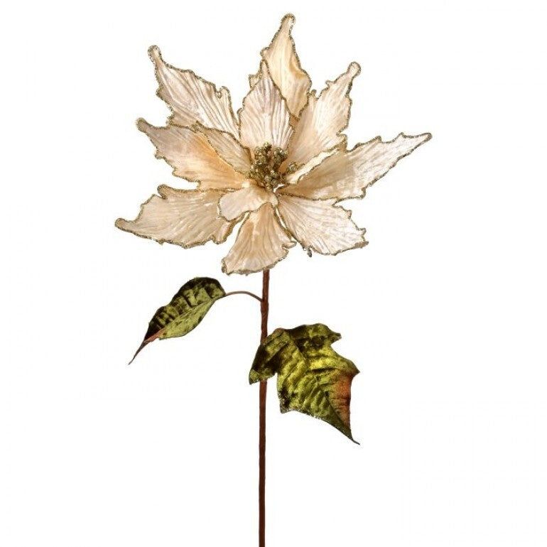 24in Glitter-Edge VELVET Poinsettia IVORY/GOLD Regency