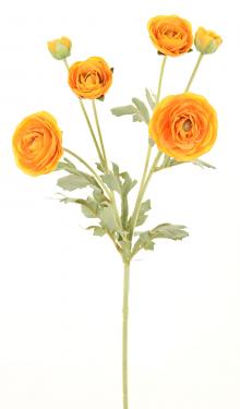26in Ranunculus x3 YELLOWTANGERINE