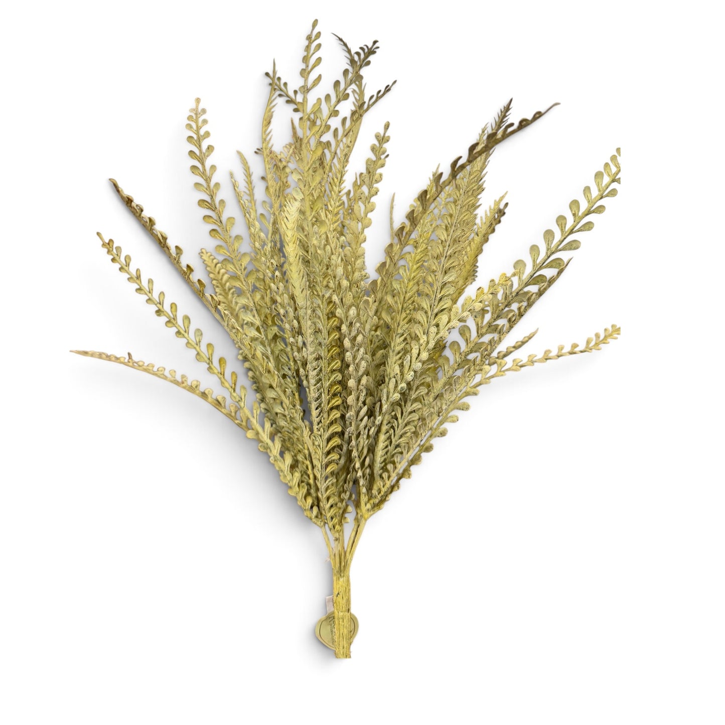 A 20-inch artificial harvest grass bush featuring numerous slender stems with layered, fern-like foliage in a soft light Sage color. The bush is photographed against a neutral background, highlighting its airy texture and natural shape for use in wreaths, floral arrangements, and seasonal home décor.