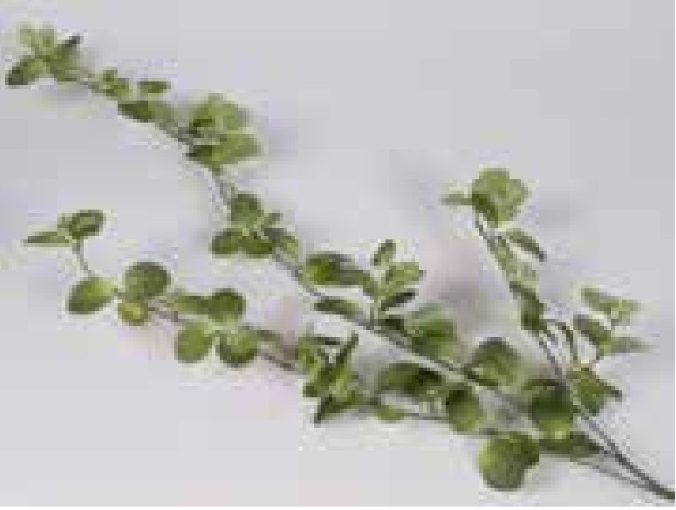 25in Periwinkle Vine