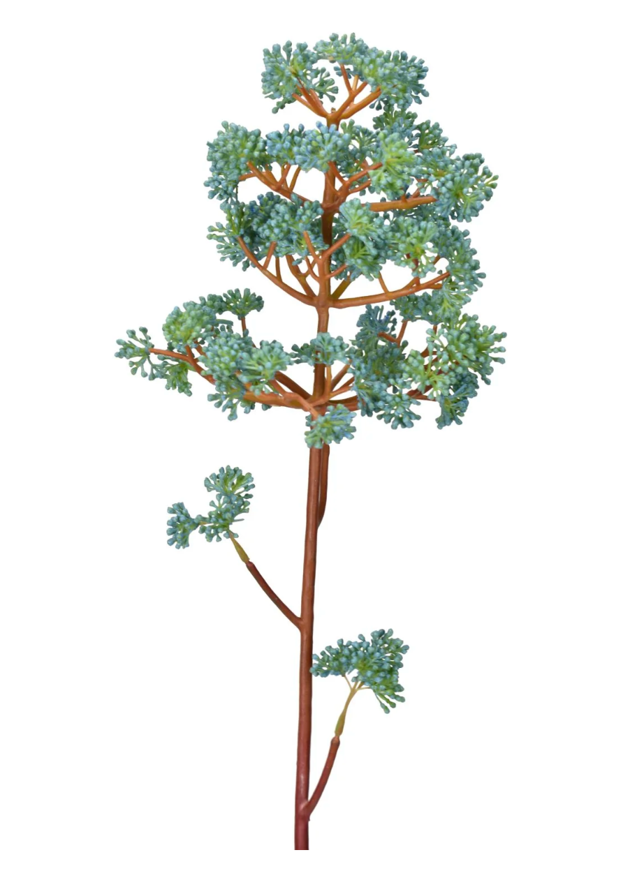31in Cone Sedum Spray BLUE