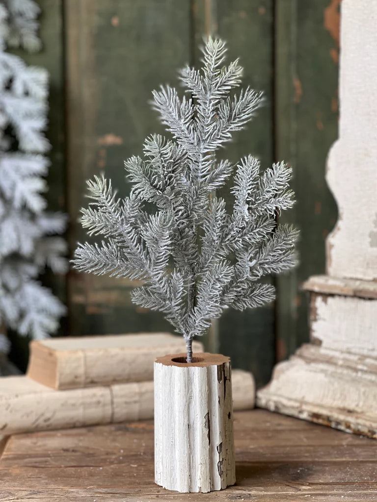 EVENT HERE 20in Snowy Sitka Spruce Lancaster and Vintage