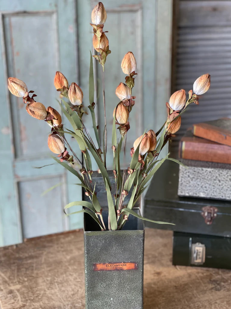 23in Lantern buds OMBRE