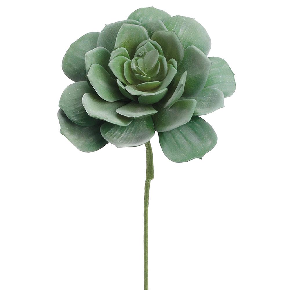 9in Echeveria GREEN/GREY adb