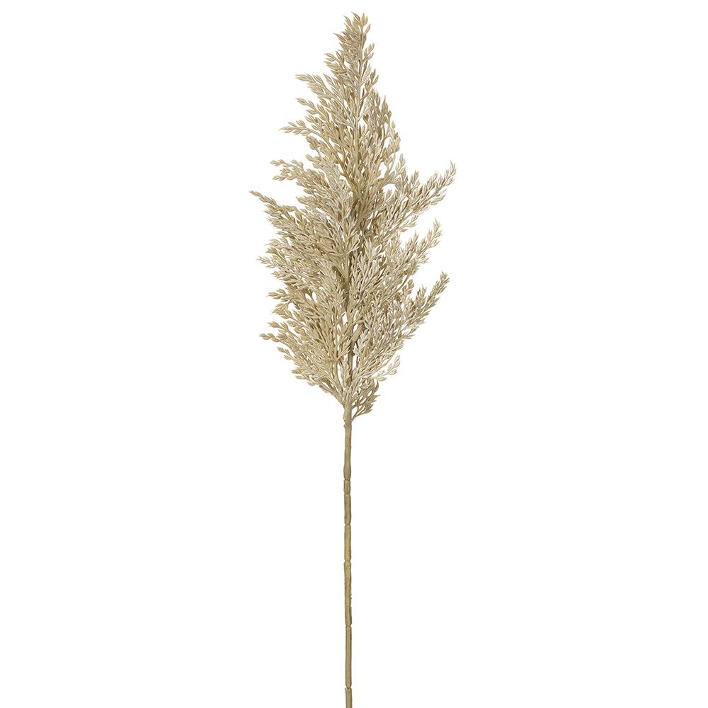 25in Pampas Grass CREAM