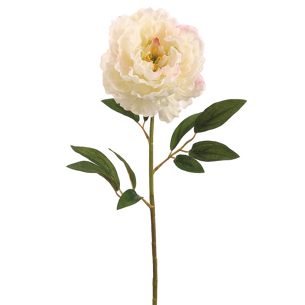 29in Cream Peony Spray