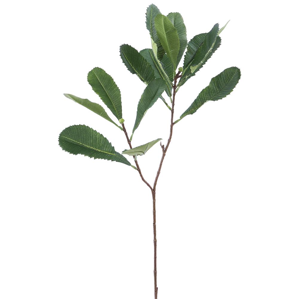 31in Green Banksia Leaf Spray adb