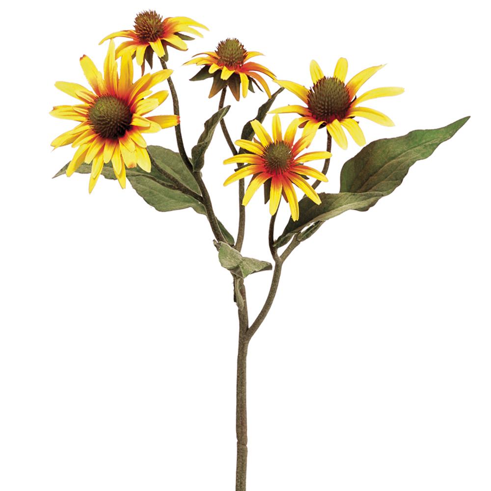 20in Rudbeckia YELLOW