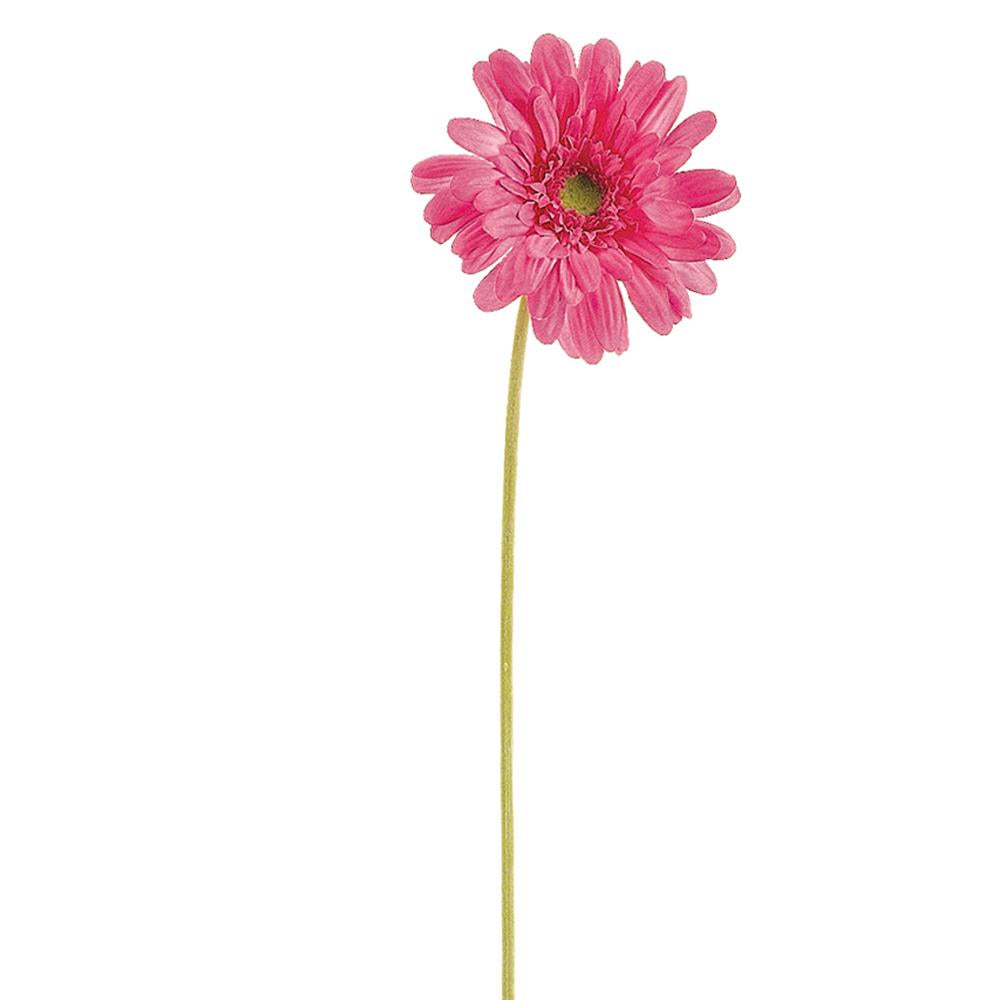 21in Gerbera Daisy HOTPINK