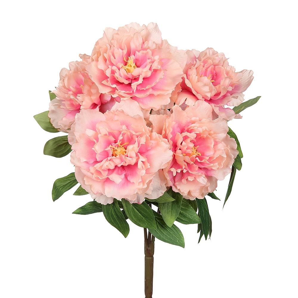 19in Pink Peony Bush x5