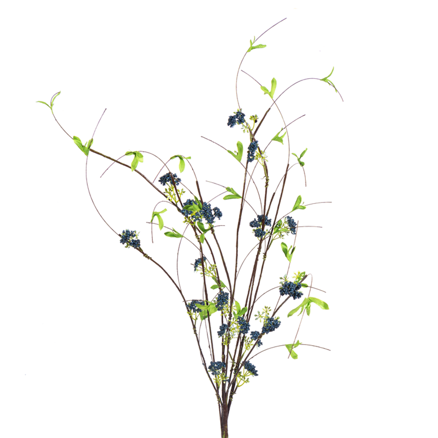42in Blue Twig Berry Bush