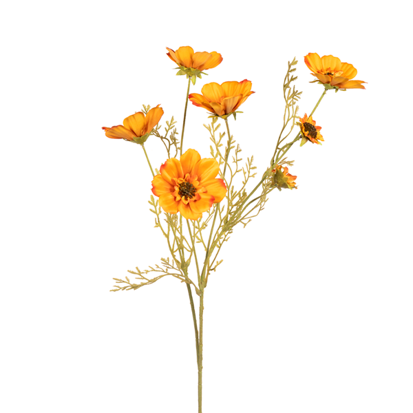 26in Cosmos GOLD