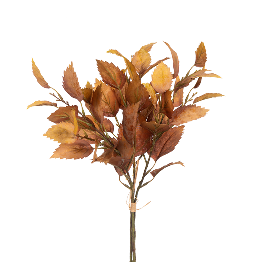 20in Birch Bundle BROWN x3