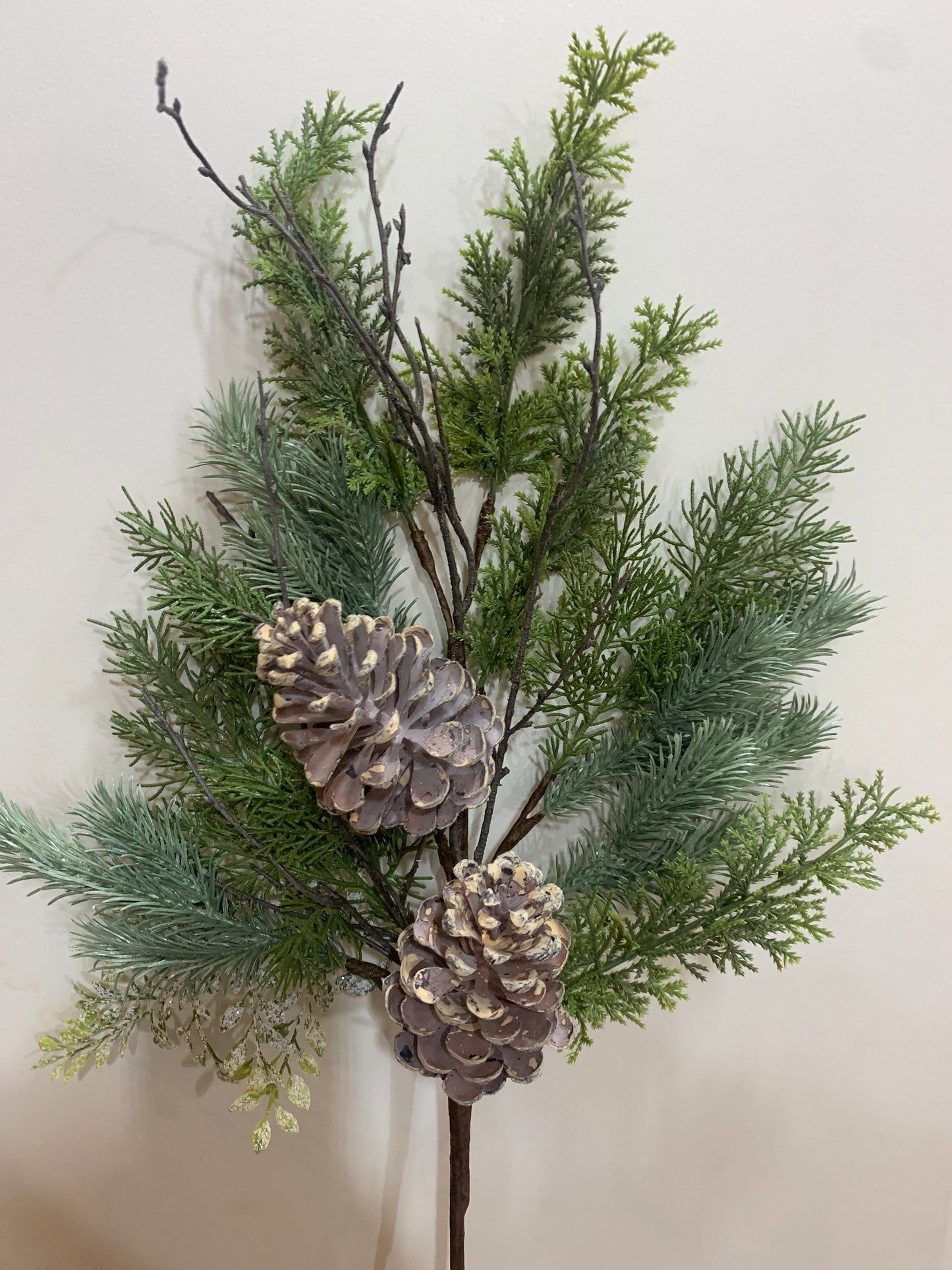 Mixed Pine and Cones