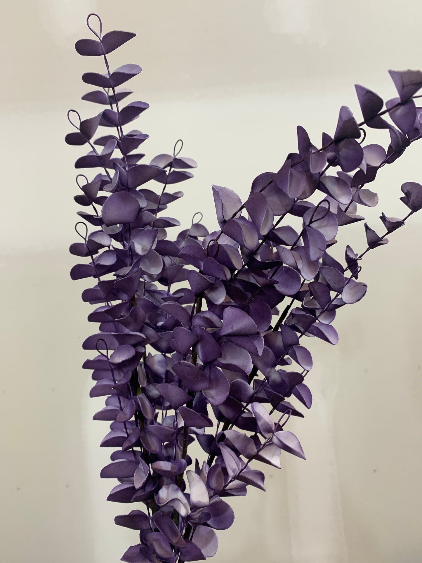 23in Eucalyptus Bush EGGPLANT