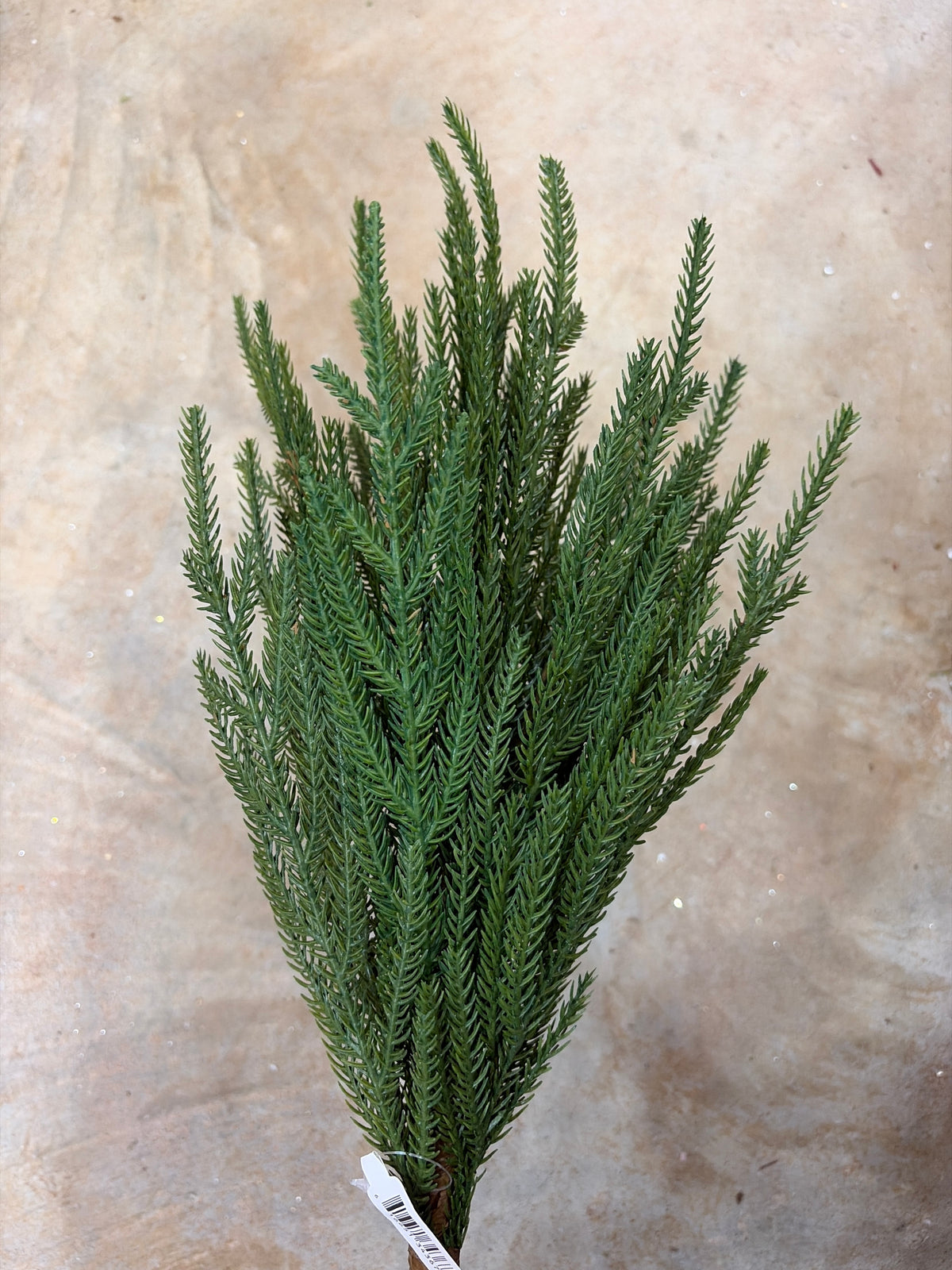 21in Austrian Pine Bush - Premium Greenery for Wreaths, Arrangments and Home Decor CRI