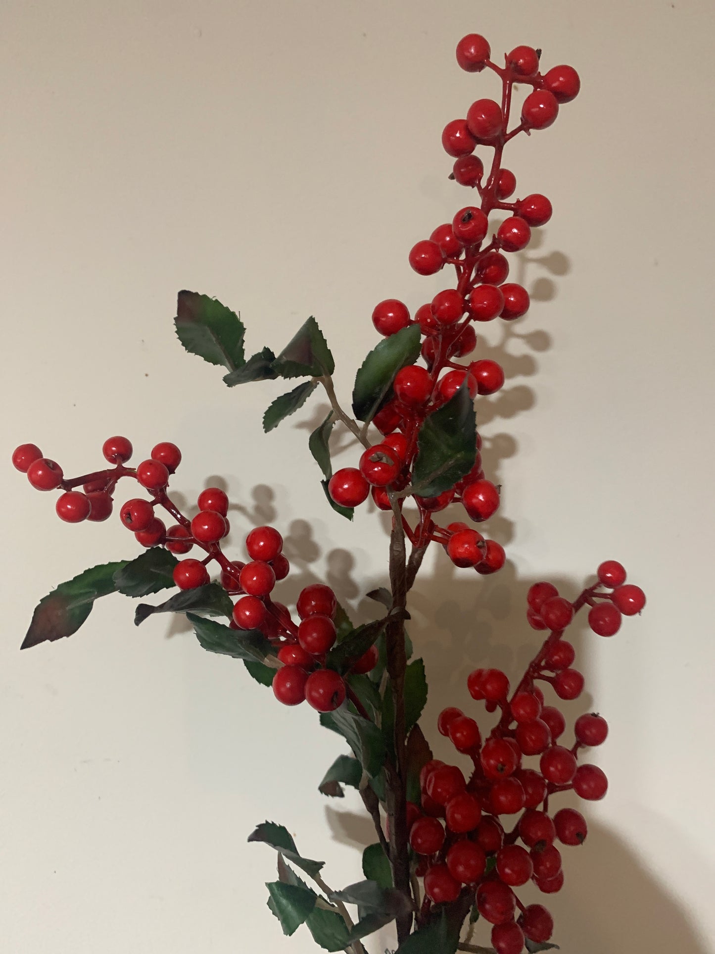27in Nandina Berry