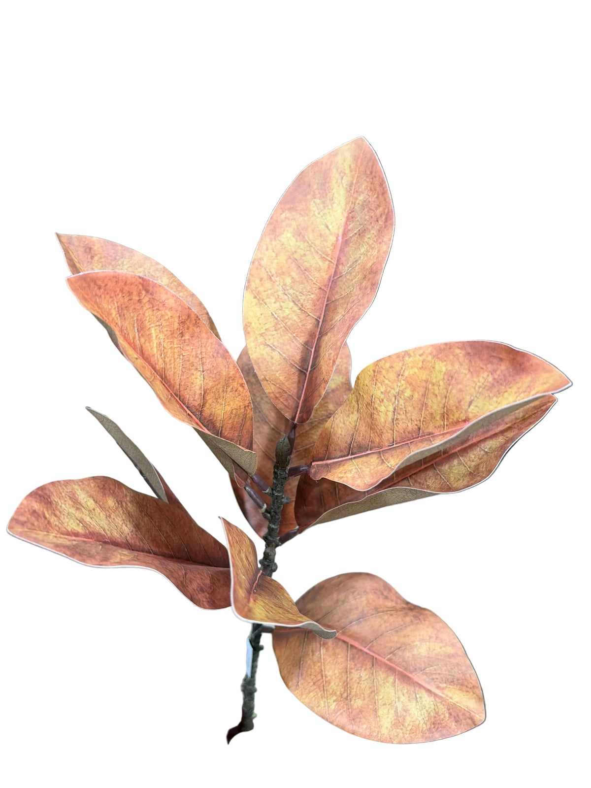 32in Golden Yellow Magnolia Leaves - Premium Greenery for Wreaths, Arrangements and Home Decor K&K
