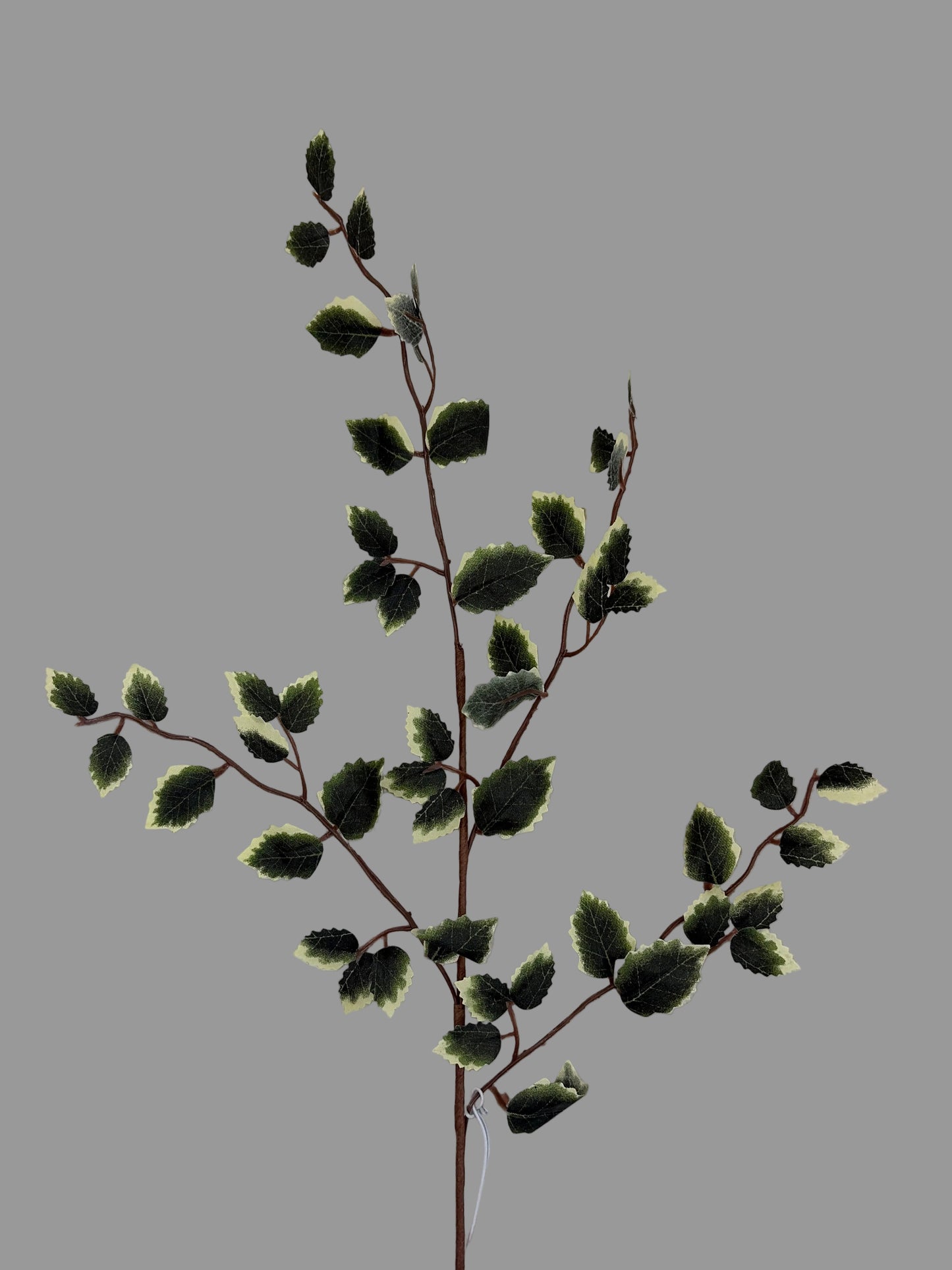 21in Green / Cream Holly - Premium Greenery for Wreaths, Arrangements and Home Decor LFI