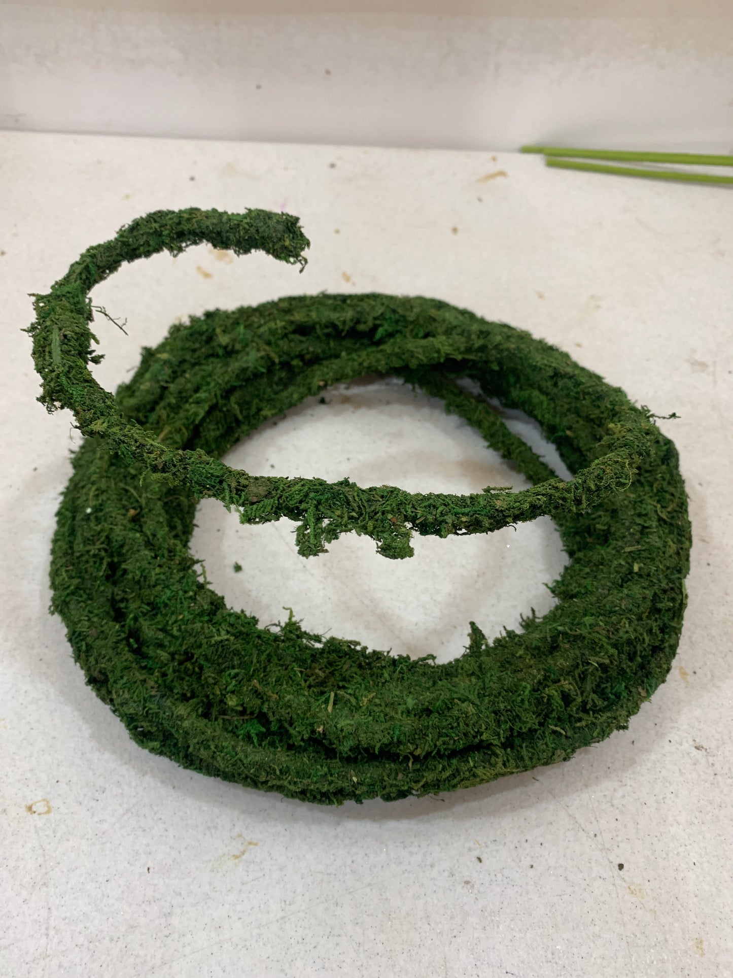 25FT Moss Rope