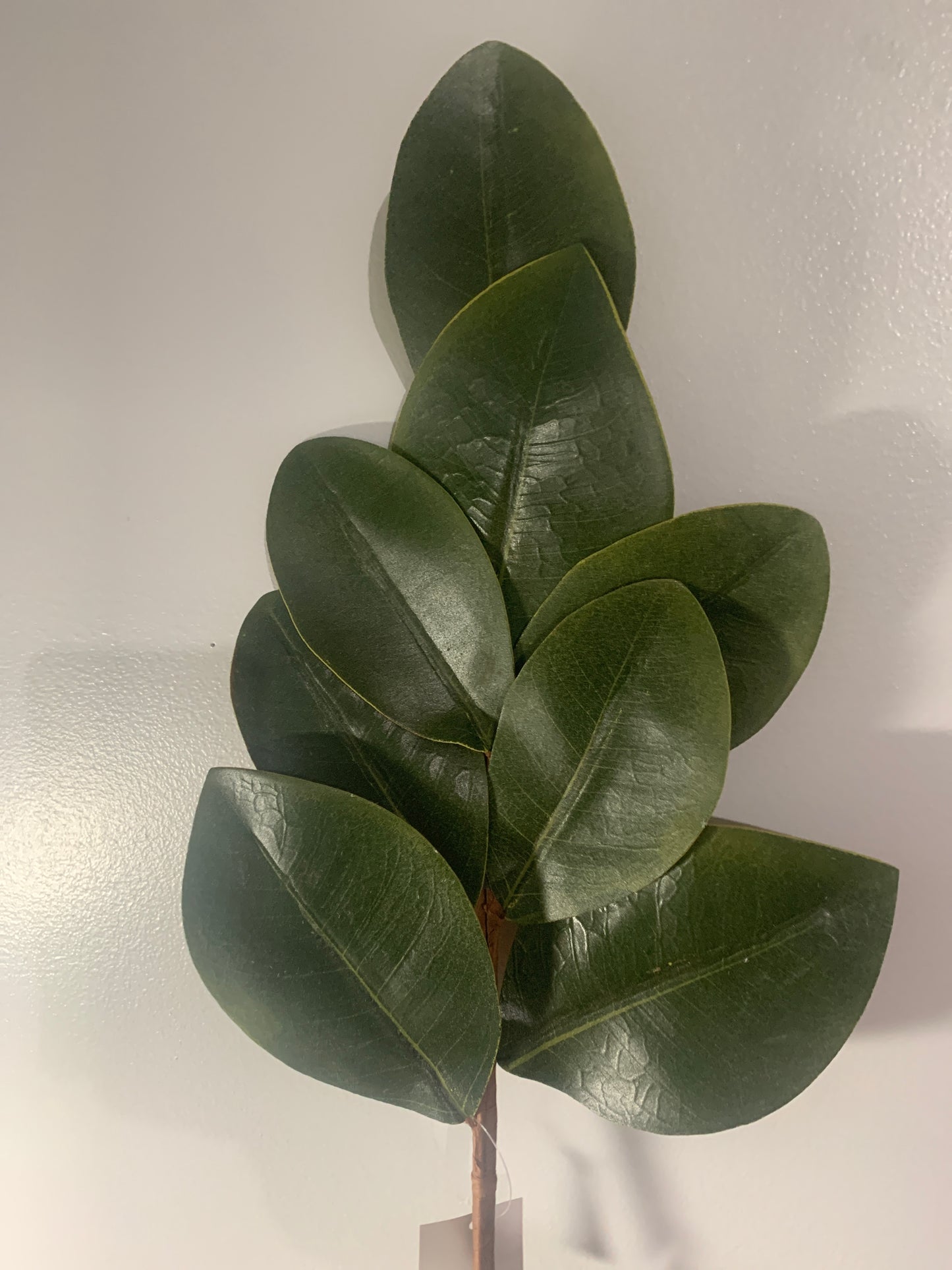 24in Magnolia Leaf Spray